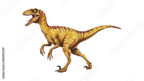 Velociraptor Dinosaur Standing Isolated on White
