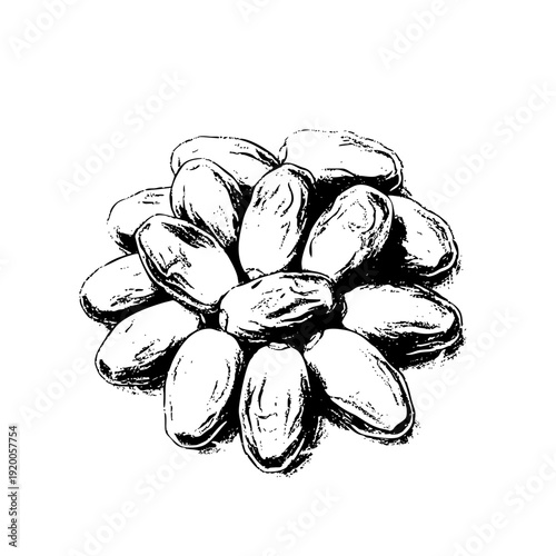 Black and White Date Fruit Sketch Illustration for Ramadan Food Design