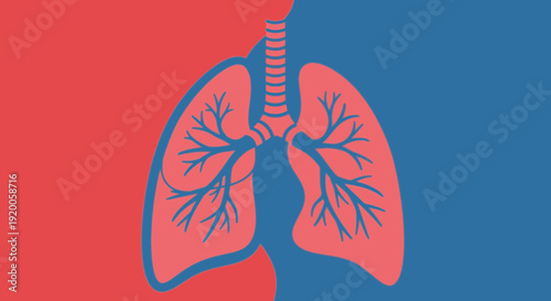 Human lungs illustration with red and blue background.