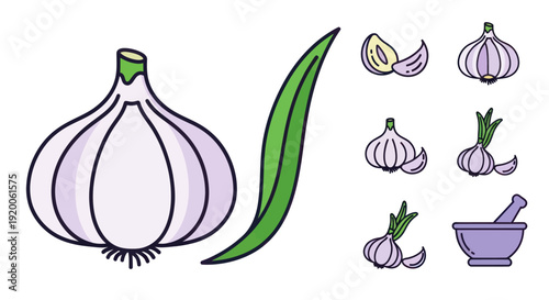 Garlic Bulb Icon Set, Fresh Ingredient, Culinary Herb, Healthy Food