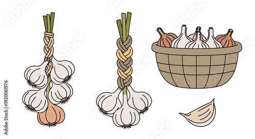 Garlic Braids, Basket, and Clove Illustration