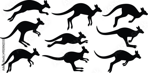 Collection of black kangaroo silhouettes in various jumping and standing poses isolated on white background, Australian wildlife marsupial vector illustration set for design projects.