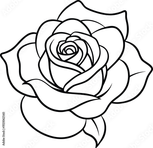 A classic rose flower featuring layered velvety petals and a rich fragrance, symbolizing love, passion, and elegance. Widely used in gardens, bouquets, perfumes, and romantic occasions.