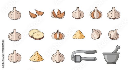 Garlic Collection: Bulbs, Cloves, Powder, Slicer and Mortar Pestle