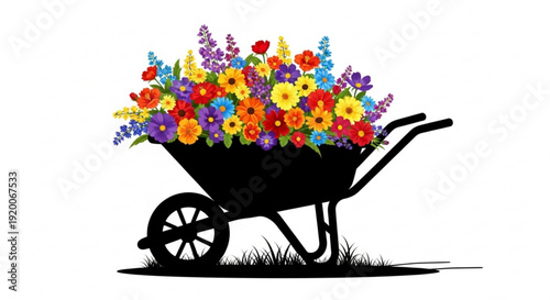 Colorful flowers in a black wheelbarrow on grass with white background gardening concept