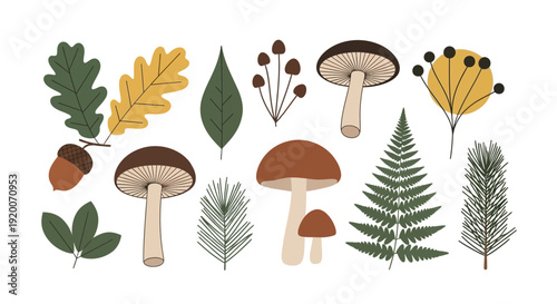 Autumn Forest Elements Collection Featuring Mushrooms and Leaves.