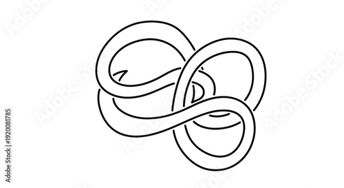 A complex knot design on a plain white background