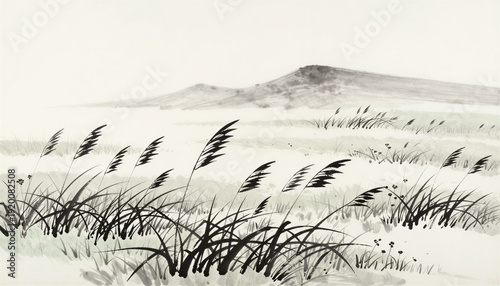 Landscape with grasses swaying in the wind under a cloudy sky  