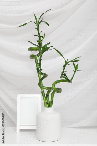 Vase with bamboo stems and ...