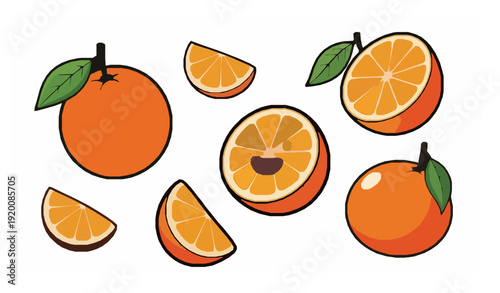 Cartoon Orange Fruit Vector Set with Whole Half and Slice Pieces