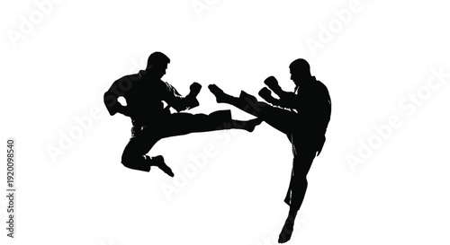 Two Fighters Sparring Silhouette Illustration