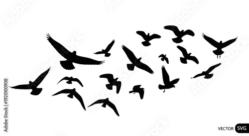 Flock of Birds Silhouette Flying in Formation Against White Background