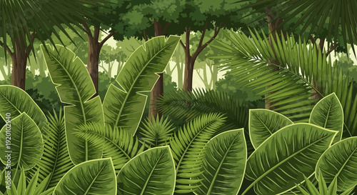 Lush tropical forest with dense foliage and trees viewed from a low angle