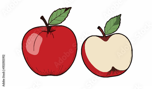 Red apple whole and half outline vector illustration with fresh fruit isolated on white background