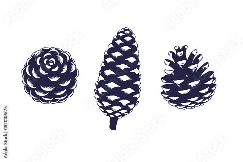 Pine cone vector illustration set, vintage hand drawn different pine cone shapes in silhouette textured vintage ink, forest themes, rustic designs logo isolated on white background