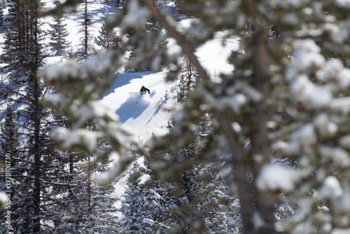A View To Skiing Powder