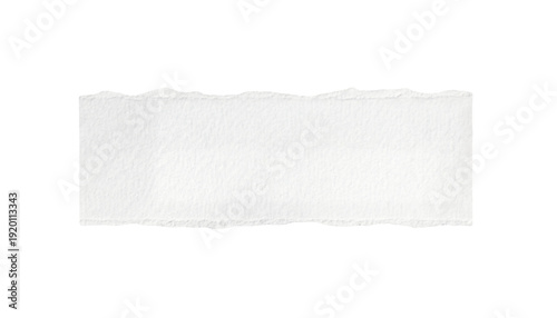 ripped element set of torn paper edges isolated with clipping path on background. torn paper texture, ripped of paper designs and jagged paper edges create a raw, artistic look