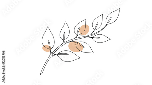 Delicate line drawing of a leafy branch with soft orange color circles offers a modern and artistic take on botanical illustrations.