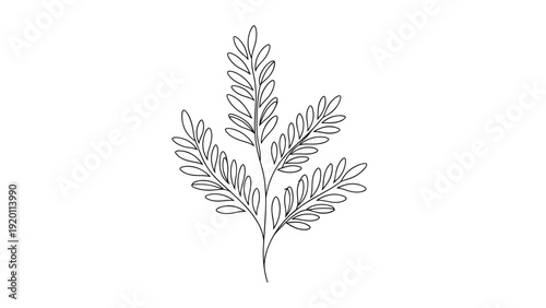 Minimalist line drawing of a leafy branch with multiple pairs of leaves provides a clean botanical element for graphic design.
