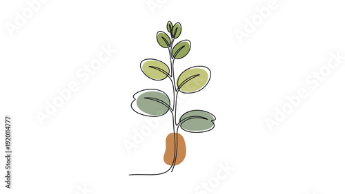 Elegant continuous line drawing of a leafy plant with minimalist color accents for modern botanical home decor and branding projects.