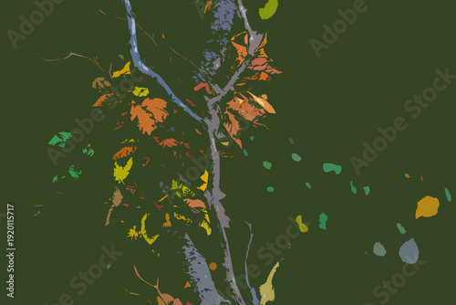 AUTUMN TIME - Colorful tree leaves in the sun rays