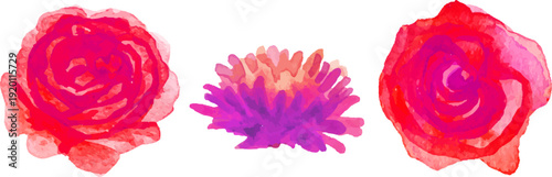 鮮やかなピンクとパープルが溶け合う水彩フラワーセット｜手描き風ローズと抽象花のやわらかなにじみ表現イラスト素材