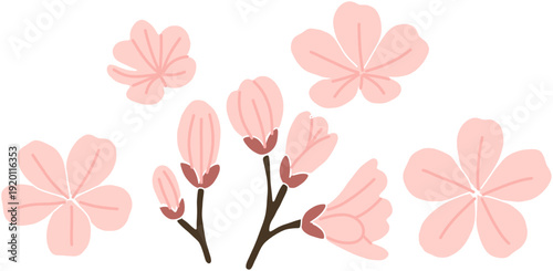 淡い桜色の花びらとつぼみをやさしく描いた春の和風フラットベクターイラスト素材｜シンプル背景・ナチュラルテイスト・入学卒業シーズンのデザイン装飾に最適