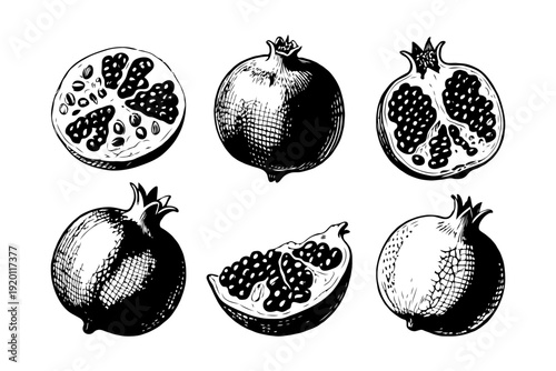 Set of pomegranate fruits and slices in monochrome ink drawing style on white background, concept of organic fruit and healthy eating