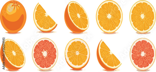 Duotone orange fruit vector set. Modern blue and orange citrus slices collection. Bold pop art style illustration isolated.