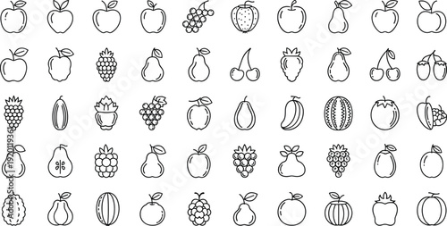 Fruit outline icon collection set. Hand drawn apple, pear, grape and berry line art. Minimal black and white vector bundle.