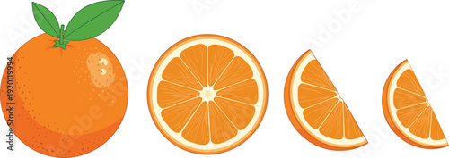 Orange fruit vector set. Whole orange with leaf and detailed slices. Fresh juicy citrus flat illustration collection.