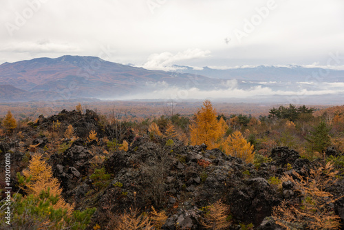 landscape view of Onioshidashi Park close to Karuizawa, a park formed by volcanic rocks deposited following an eruption of Mount Asama, Gunma Prefecture, Japan.