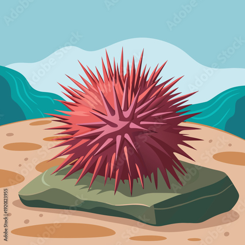 Red Sea Urchin on a Rock