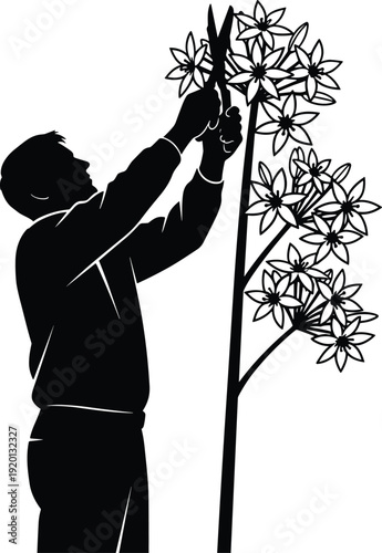 Gardener silhouette pruning flowering tree with shears showing plant care and landscaping work isolated on white background for gardening, nature, and maintenance concepts