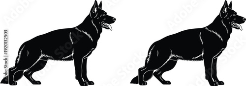 German Shepherd dog silhouettes standing in alert pose, loyal working breed concept for security, training and protection themes, isolated black vector illustration set