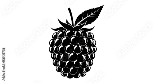 A striking black and white illustration of a ripe blackberry with detailed drupelets and stem