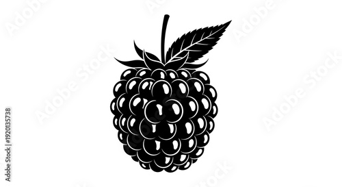 A striking black and white silhouette depicts a single ripe blackberry with a connected stem and leaf