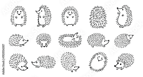 Doodle hand drawn cute hedgehog set. Hand drawn adorable hedgehog collection. Outline drawing for children.