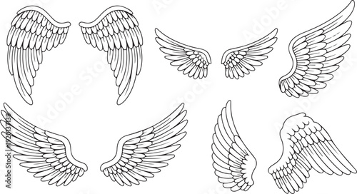 wings bird wing motif set monochrome