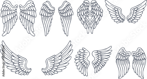 wings line art vector set stylized wing pairs