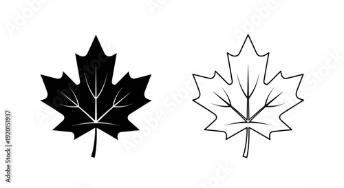 Maple leaf designs: minimalist line art and solid black leaf illustrations Vector