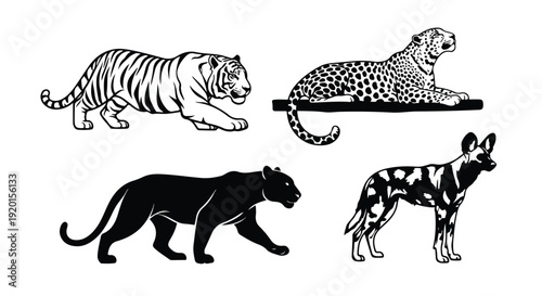 Silhouettes and illustrations of four carnivorous animals, including a tiger, cheetah, panther, and hyena, against a clean white background.