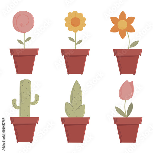 Six potted plants with flowers and cacti potted flowers