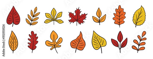 autumn leaves different trees doodle hand drawn icon set. Fall leaves colorful cartoon drawing line clipart symbol collection