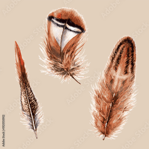 Three Brown and Red Bird Feathers watercolor painting