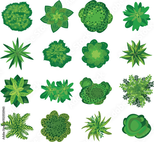 Top View Green Plant and Tree Illustrations overhead