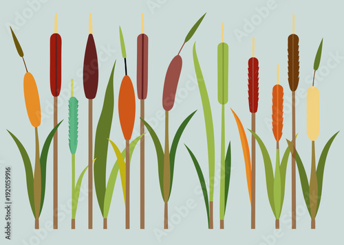 Colorful illustration of cattails and leaves on a light blue background
