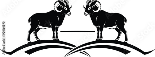 Black vector silhouette of two realistic rams with large curved horns standing on a hill for mountain wilderness nature and wildlife branding