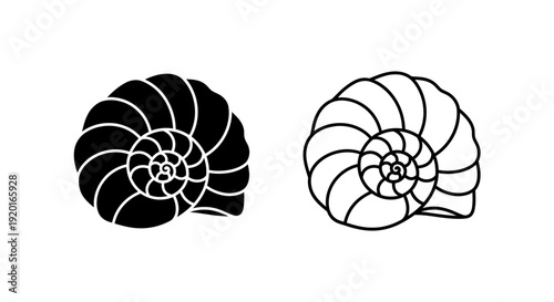 Two black and white spiral shell illustrations on white background Vector