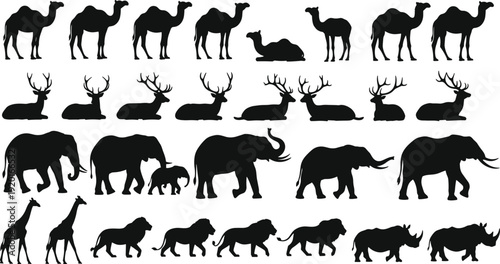 Animal silhouettes collection, camels deer elephants giraffes lions rhinoceroses, black vector illustration, wildlife posture design, minimal creative background art
